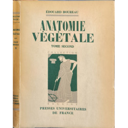 Anatomie végétale T2
