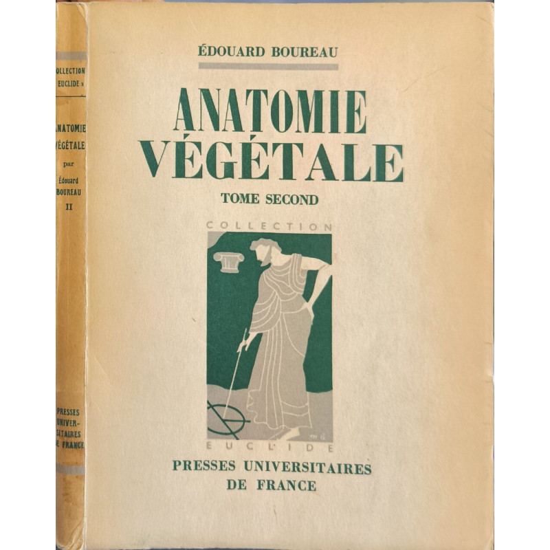 Anatomie végétale T2