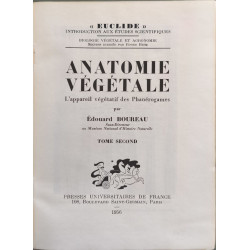 Anatomie végétale T2
