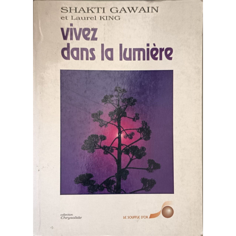 VIVEZ DANS LA LUMIERE.: Guide de transformation personnelle et...