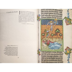 La bible de Prague - Reproduction en fac-simile de peintures:...