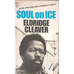 Soul on Ice