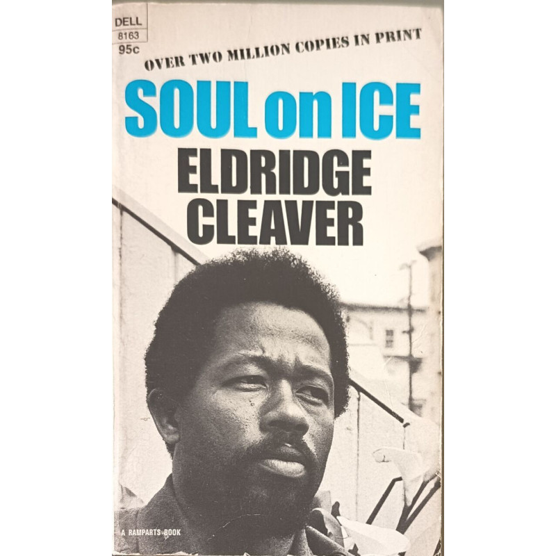 Soul on Ice