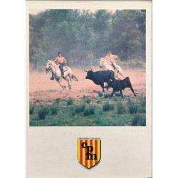Éternelle Camargue