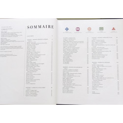 Le langage secret de la peinture: 75 Chefs d 'oeuvre dévoilés