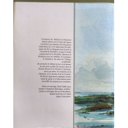 Cordouan les baleines: Cordouan Les Baleines Chassiron