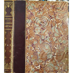 La peinture au XIXe siècle ( 400 illustrations et 13 planches...