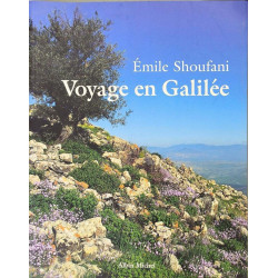 Voyage En Galilee