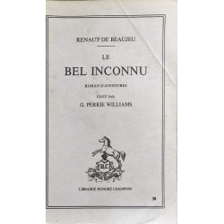 Le bel inconnu