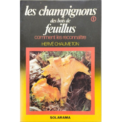 Champ bois feuillus
