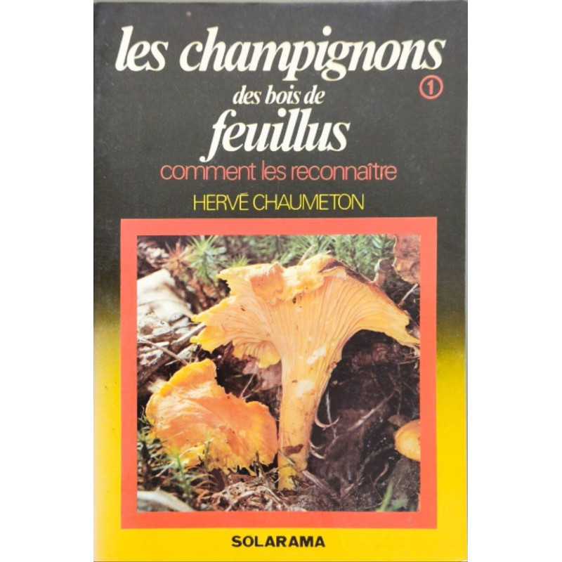 Champ bois feuillus