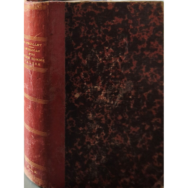 Le roman d'un homme pauvre