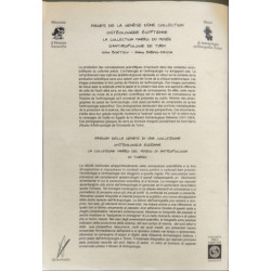 Anthropologie de l'Égypte ancienne : Regards sur la collection...