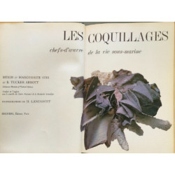 Les coquillages chefs-d'œuvre de la vie sous-marine