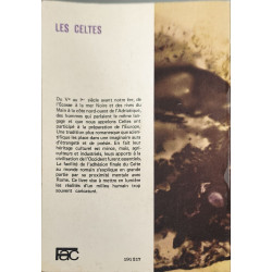 Les Celtes au second Age de fer