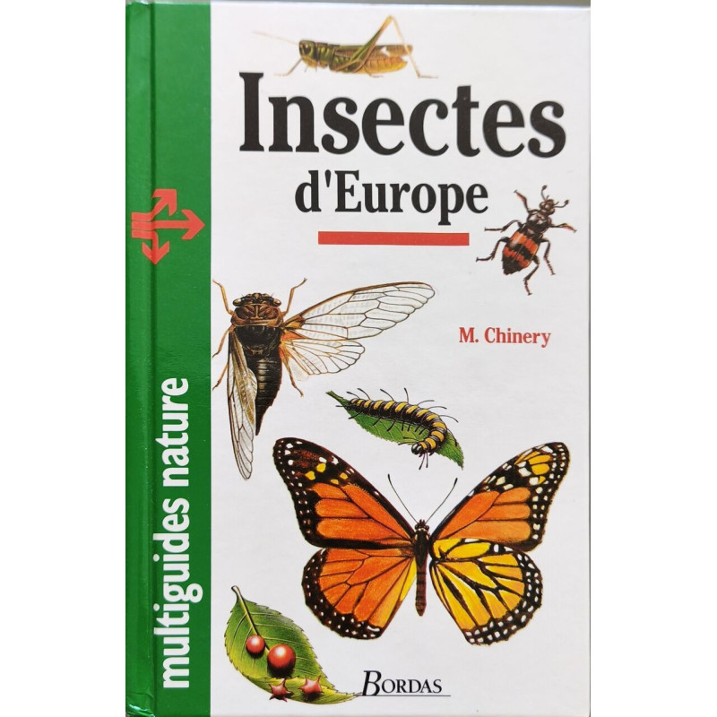 Insectes d'Europe