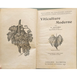 Viticuture Moderne