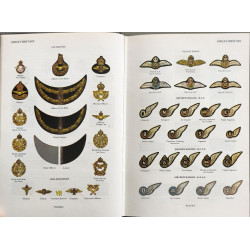 Air Force badges and insignia of World War 2 - EO