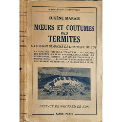 Mœurs et coutumes des termites