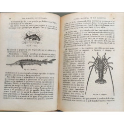 Historia Natural Aplicada