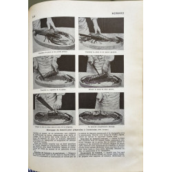 Larousse gastronomique