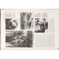 WORLD WAR TWO 50TH ANNIVERSARY COMMEMORATIVE EDITION