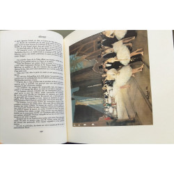 Chroniques inédites - illustrations de Jean Béraud ( tome 15/16)