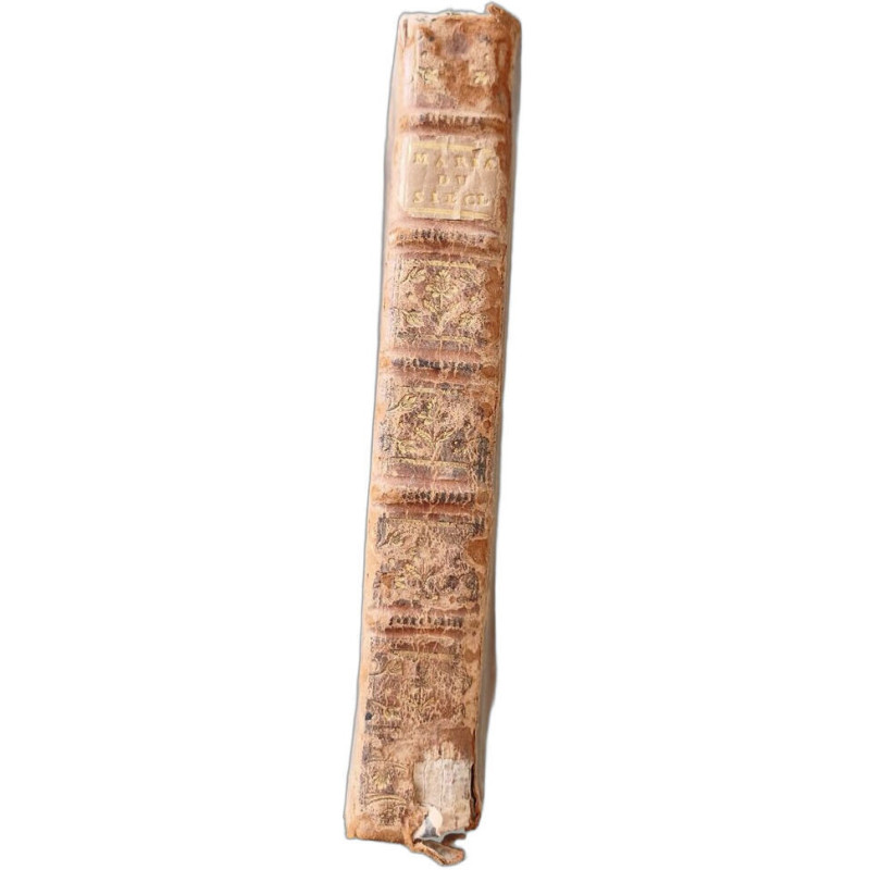 Le mariage du siècle ou lettres de madame l Comtesse de Caftelli à...