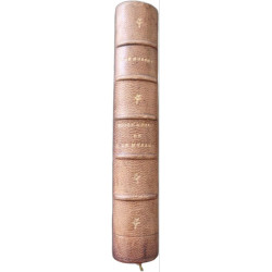 Biographie de alfred de musset par Paul de Musset