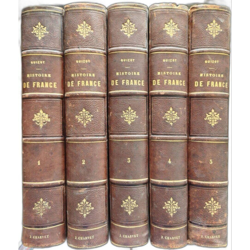 L'Histoire de France (5 tomes plus de 300 gravures sur bois par de...