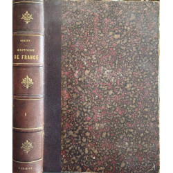 L'Histoire de France (5 tomes plus de 300 gravures sur bois par de...