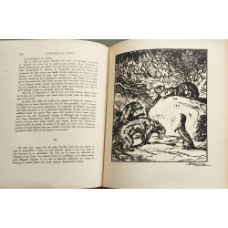 Histoires de bêtes ( deuxième édition)