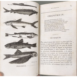Le cabinet du jeune naturaliste ou Tableaux intéressans de...