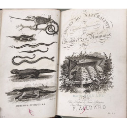 Le cabinet du jeune naturaliste ou Tableaux intéressans de...