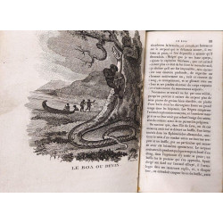 Le cabinet du jeune naturaliste ou Tableaux intéressans de...