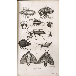Le cabinet du jeune naturaliste ou Tableaux intéressans de...