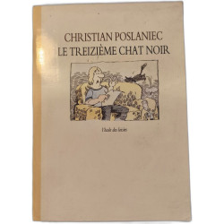 Le treizième chat noir