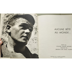 Aucune bête au monde
