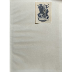 Suizebol en Bijdepink - met illustraties van M. Toonder